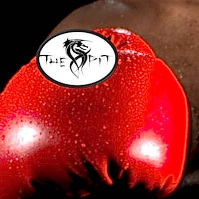 50+ Boxing at the PIT